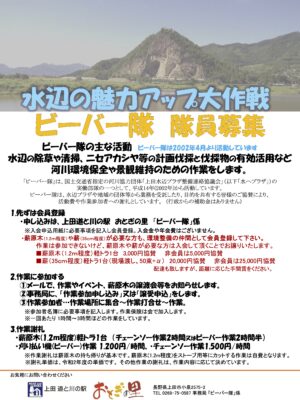 ビーバー隊員募集